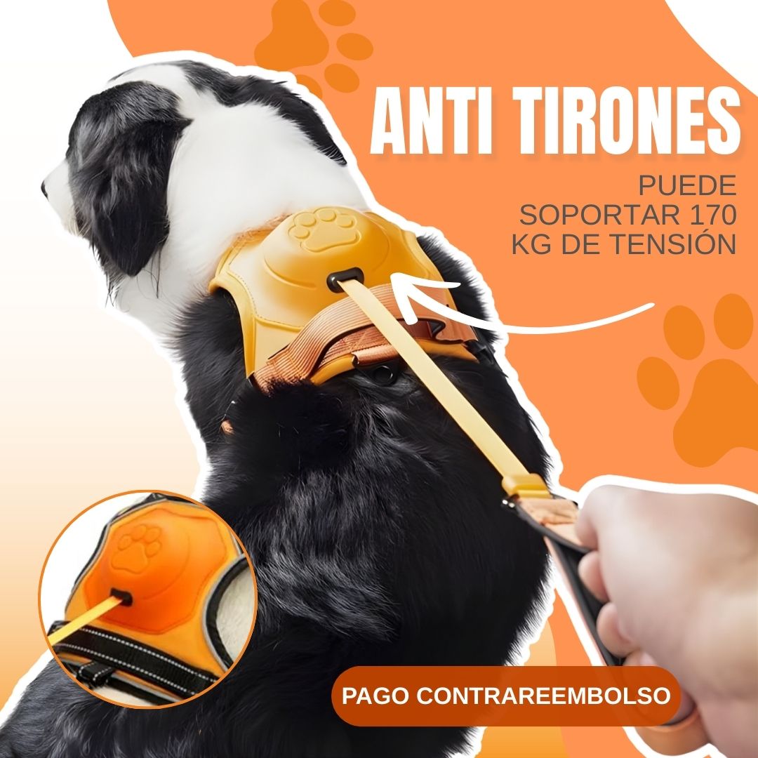 Arnés Retráctil para Perros - 2 en 1