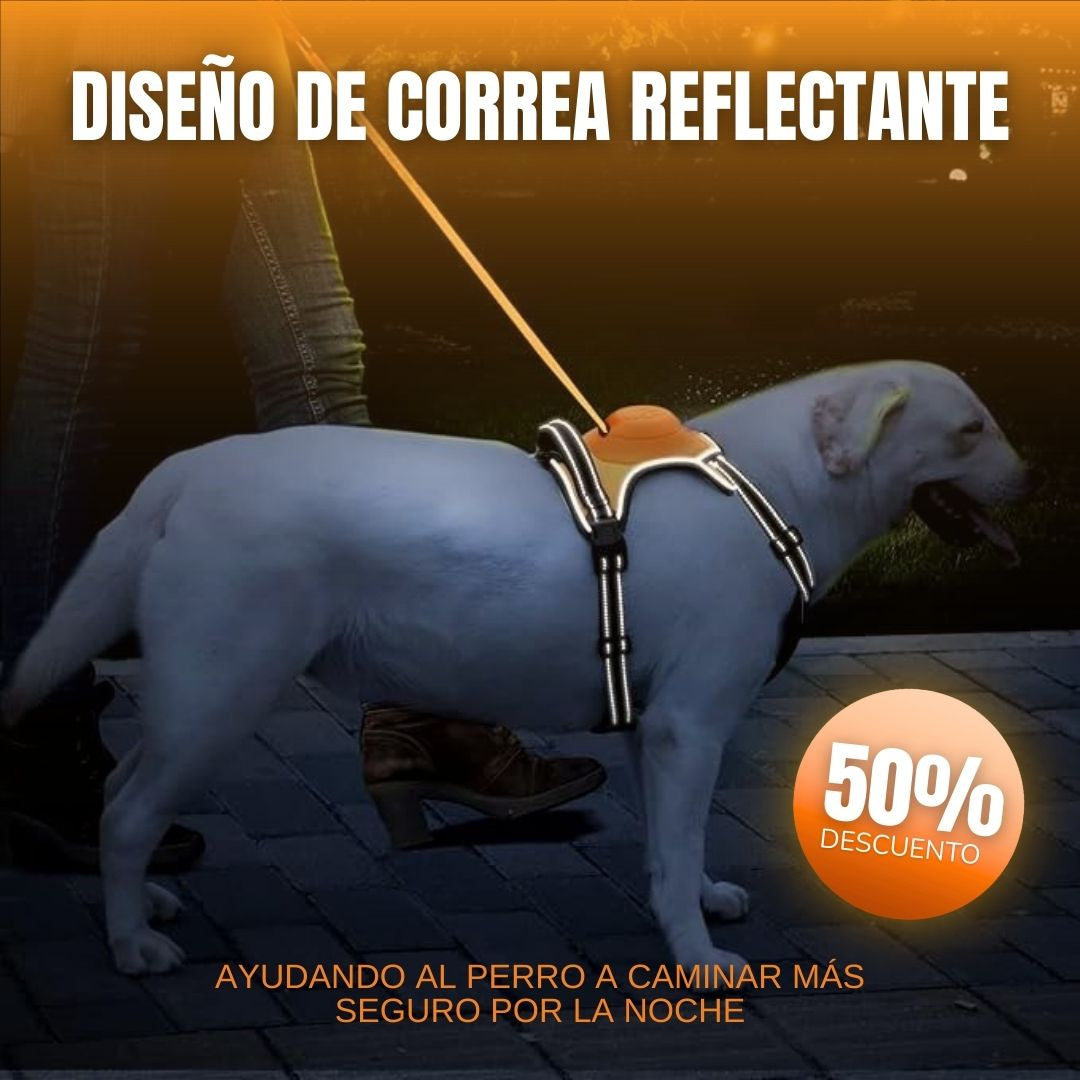Arnés Retráctil para Perros - 2 en 1