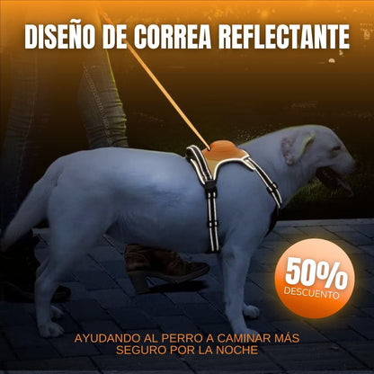 Arnés Retráctil para Perros - 2 en 1