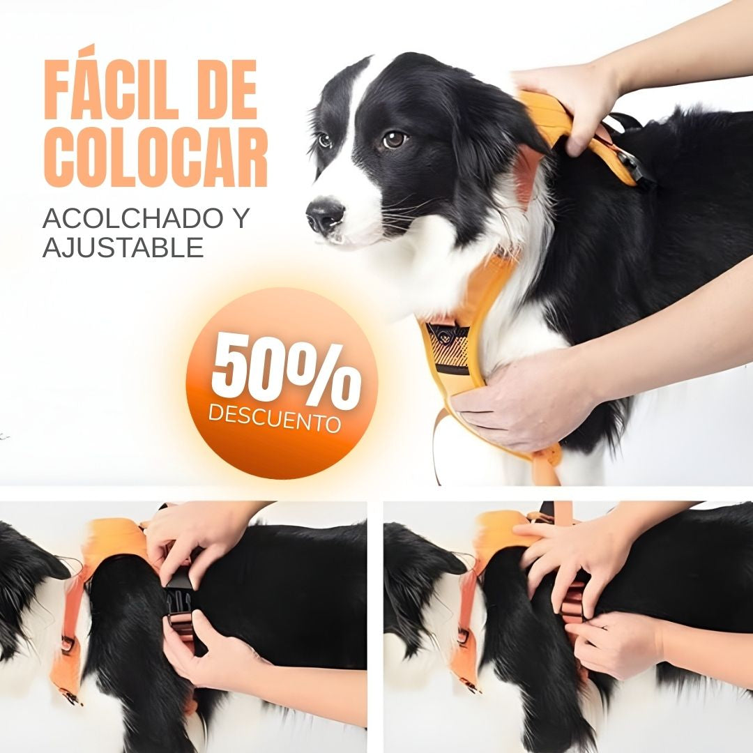 Arnés Retráctil para Perros - 2 en 1