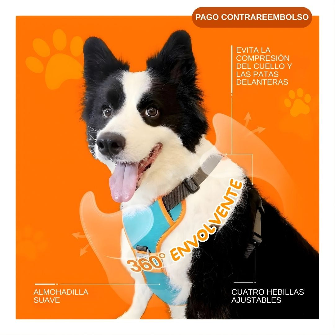 Arnés Retráctil para Perros - 2 en 1