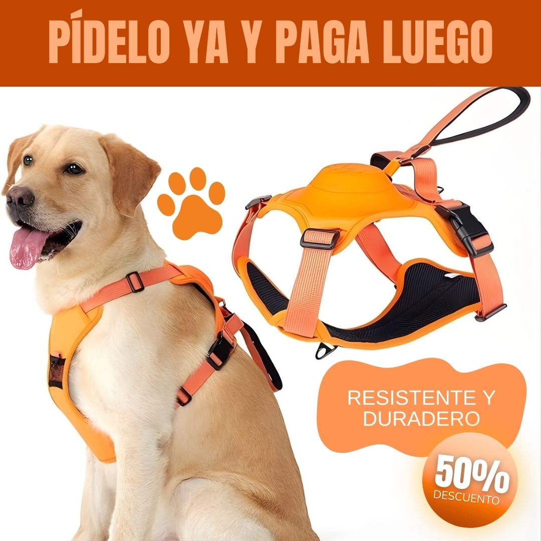 Arnés Retráctil para Perros - 2 en 1