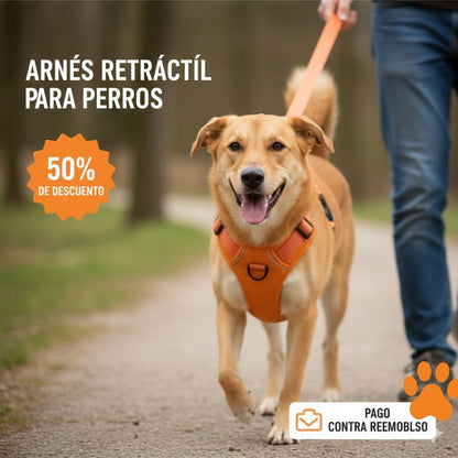 Arnés Retráctil para Perros - 2 en 1